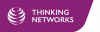 Thingking Networks - lila
